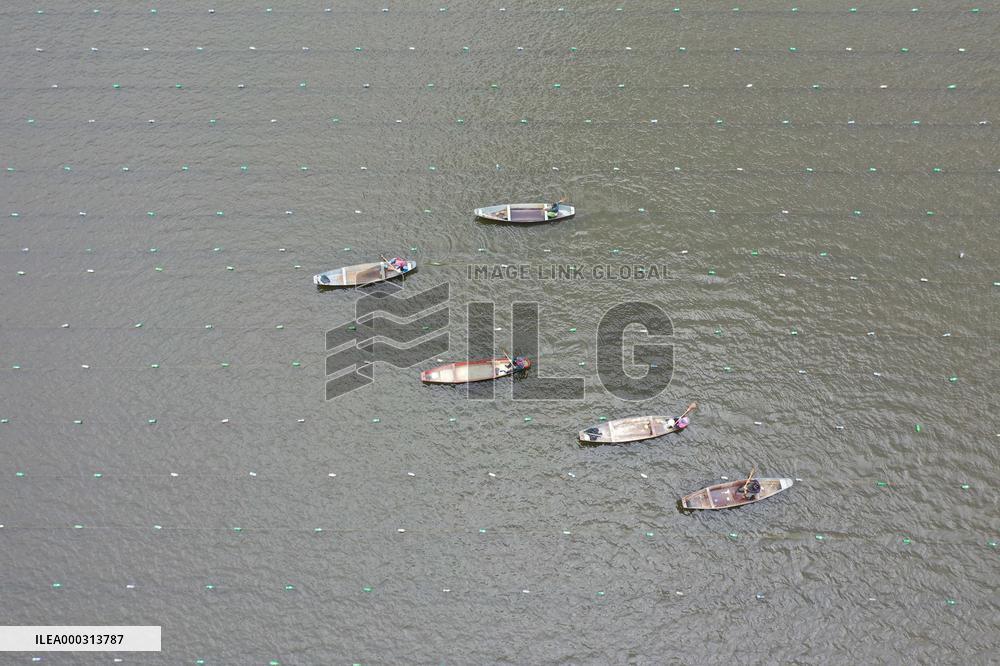 Characteristic Farming in Rural China