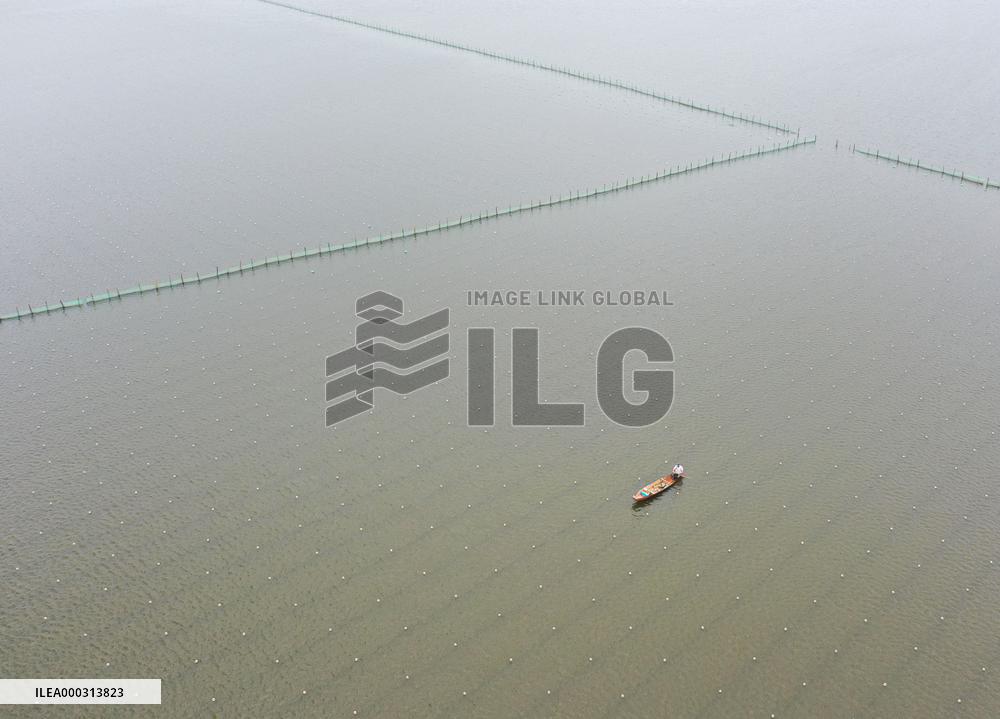 Characteristic Farming in Rural China