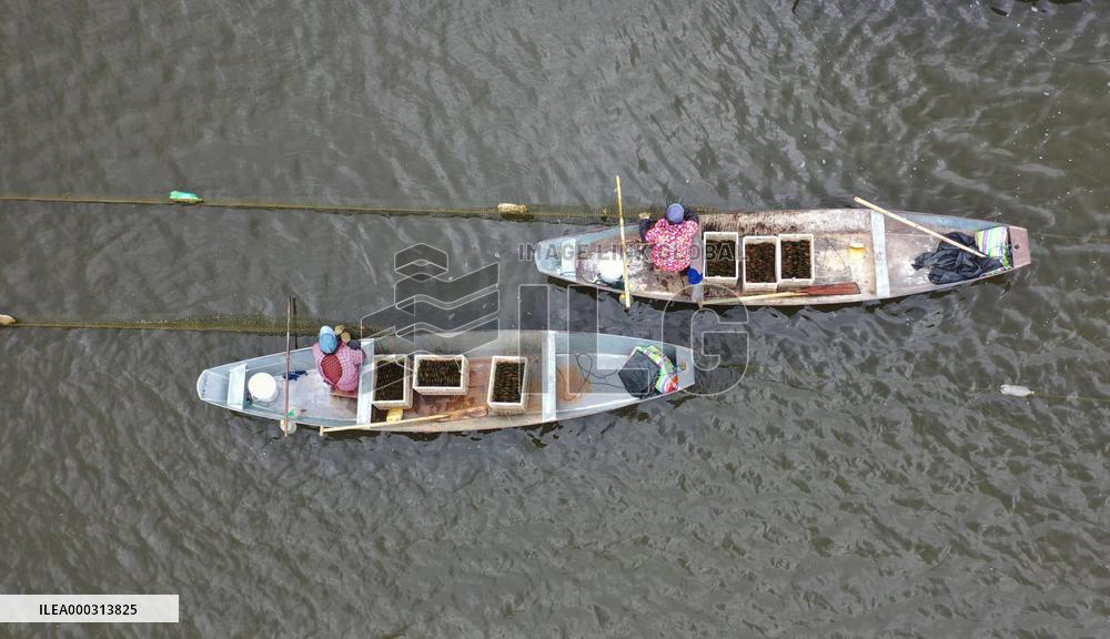 Characteristic Farming in Rural China
