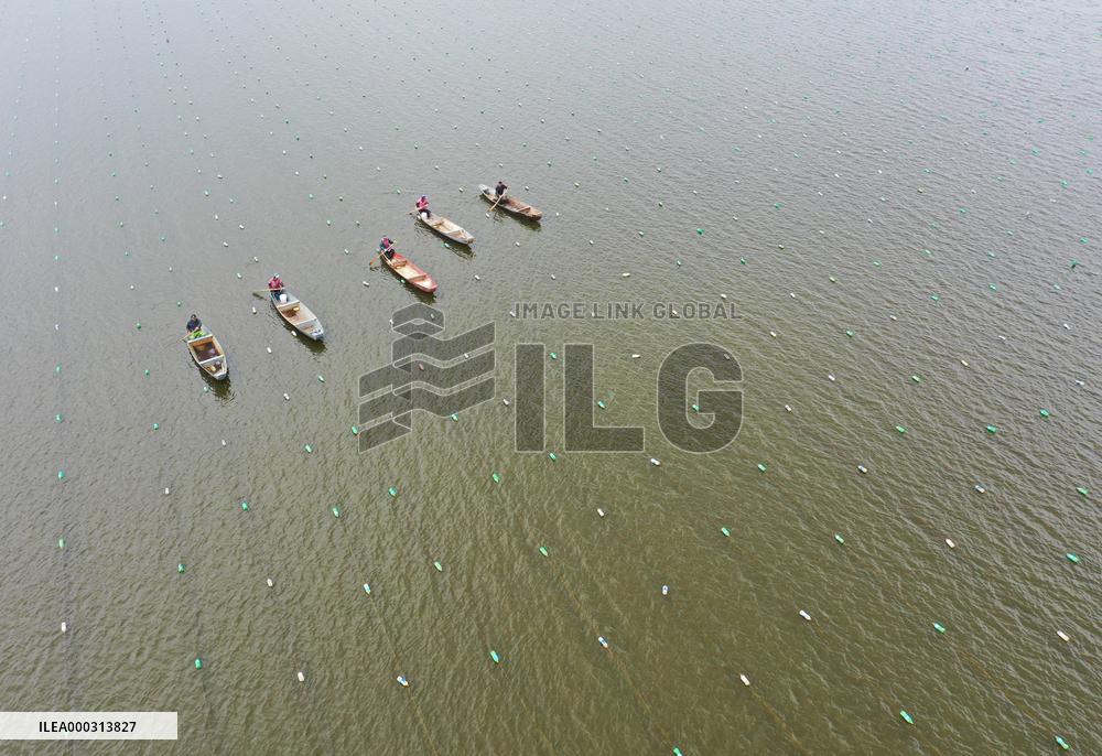 Characteristic Farming in Rural China