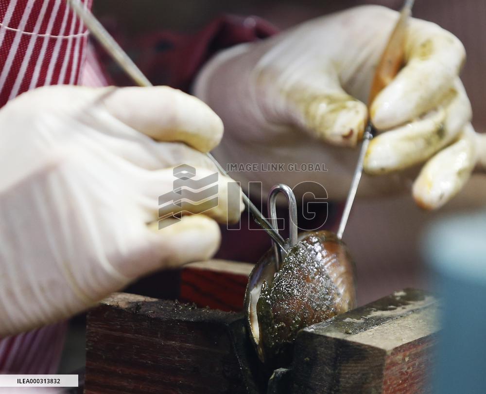 Characteristic Farming in Rural China