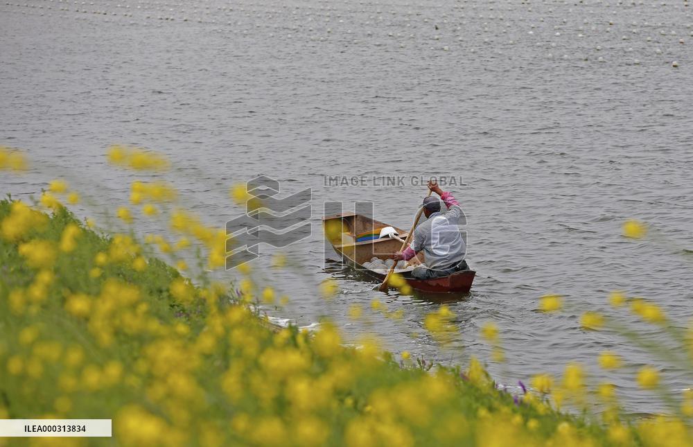 Characteristic Farming in Rural China