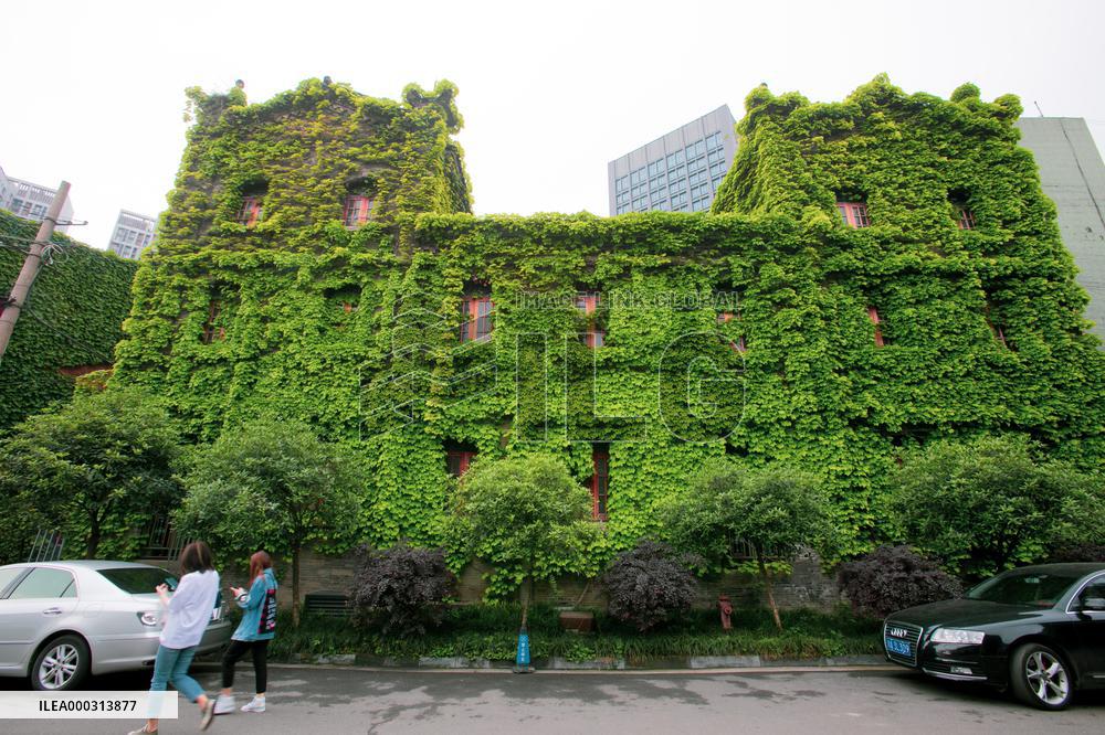 Buildings Surrounded By Green Plants in Chengdu