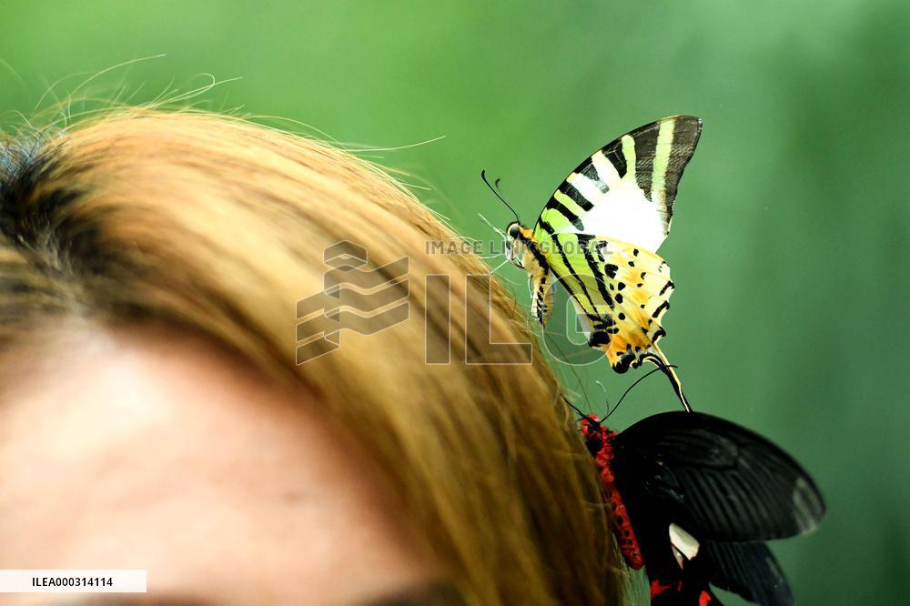 China Shandong Underground Grand Canyon