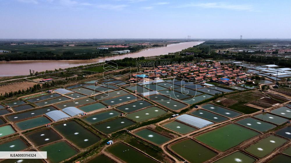 China Shandong Shrimp Ponds