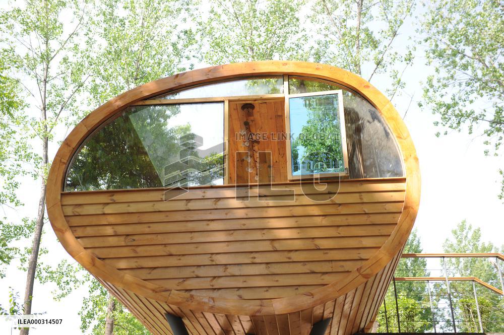 China hubei Tree Restauran