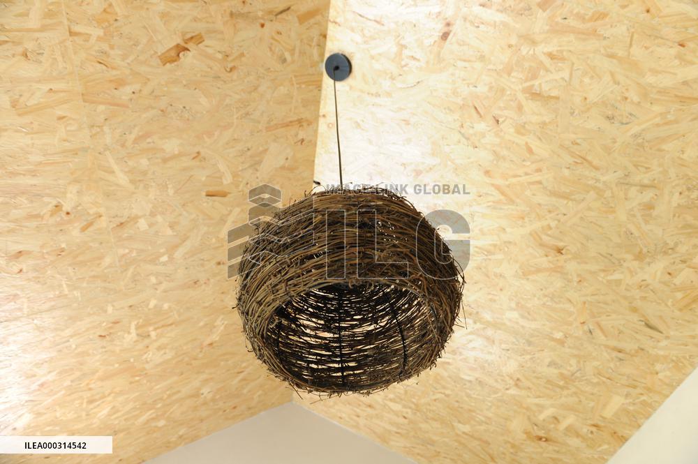 China hubei Tree Restauran