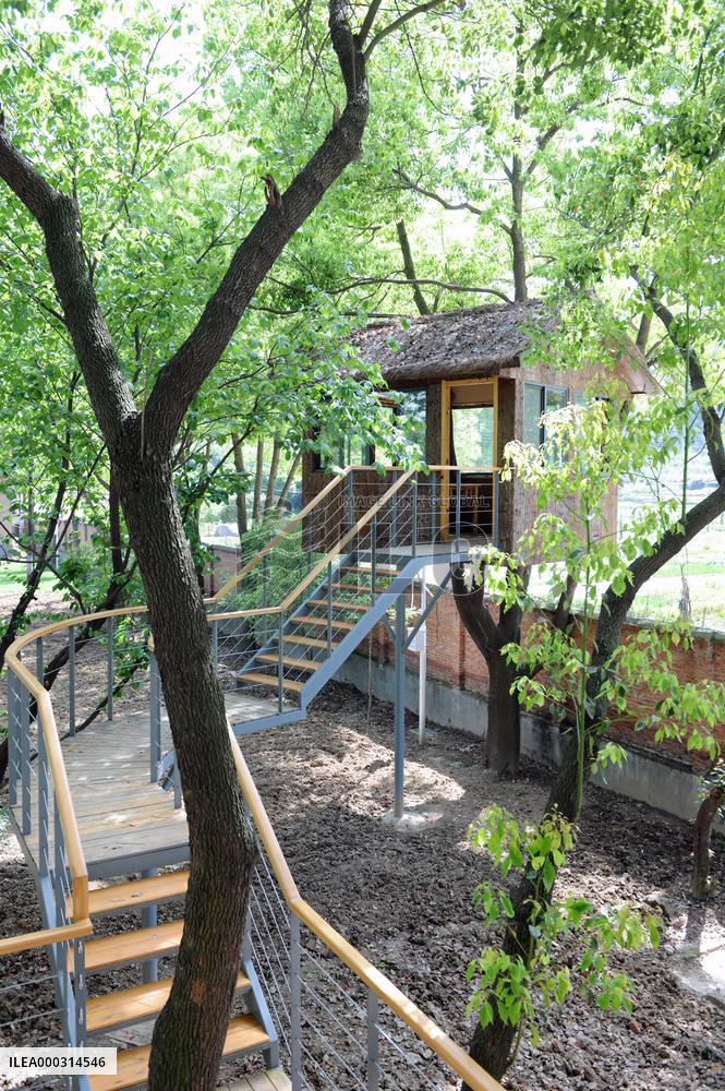 China hubei Tree Restauran