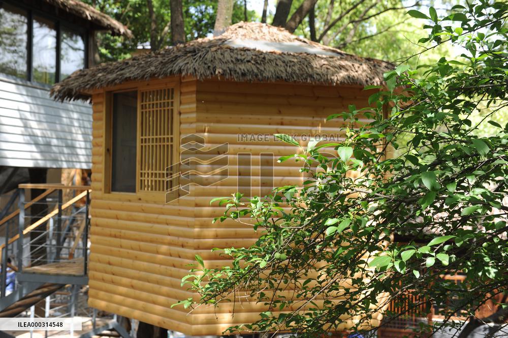 China hubei Tree Restauran