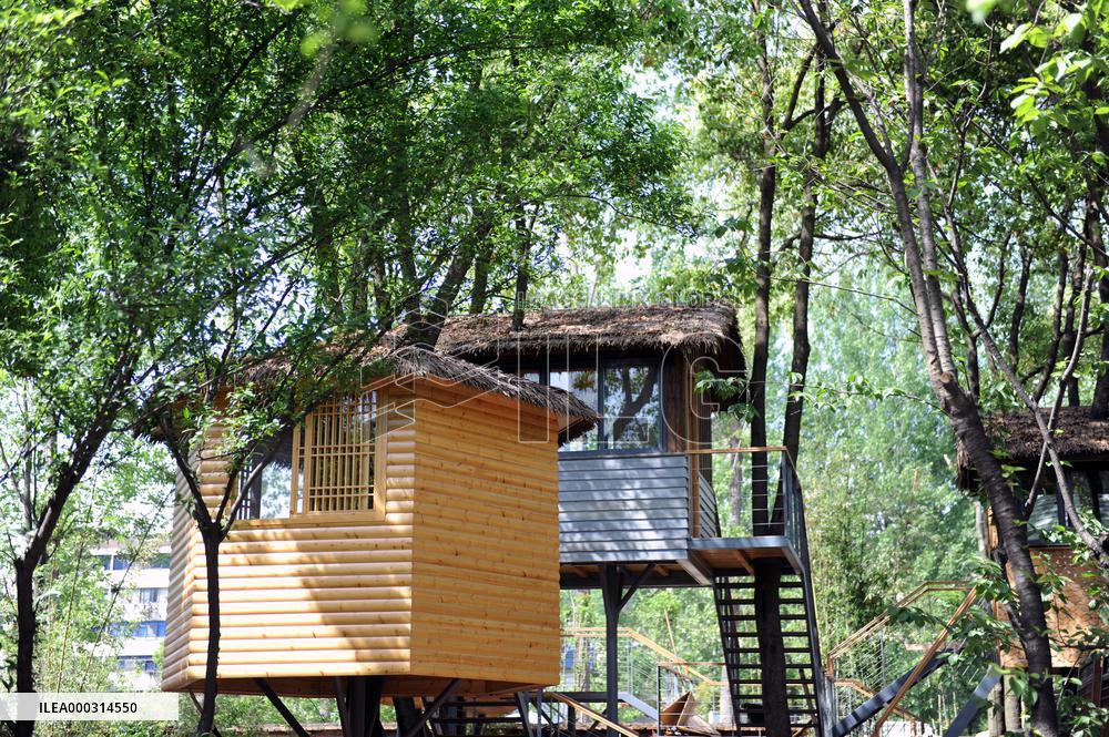 China hubei Tree Restauran