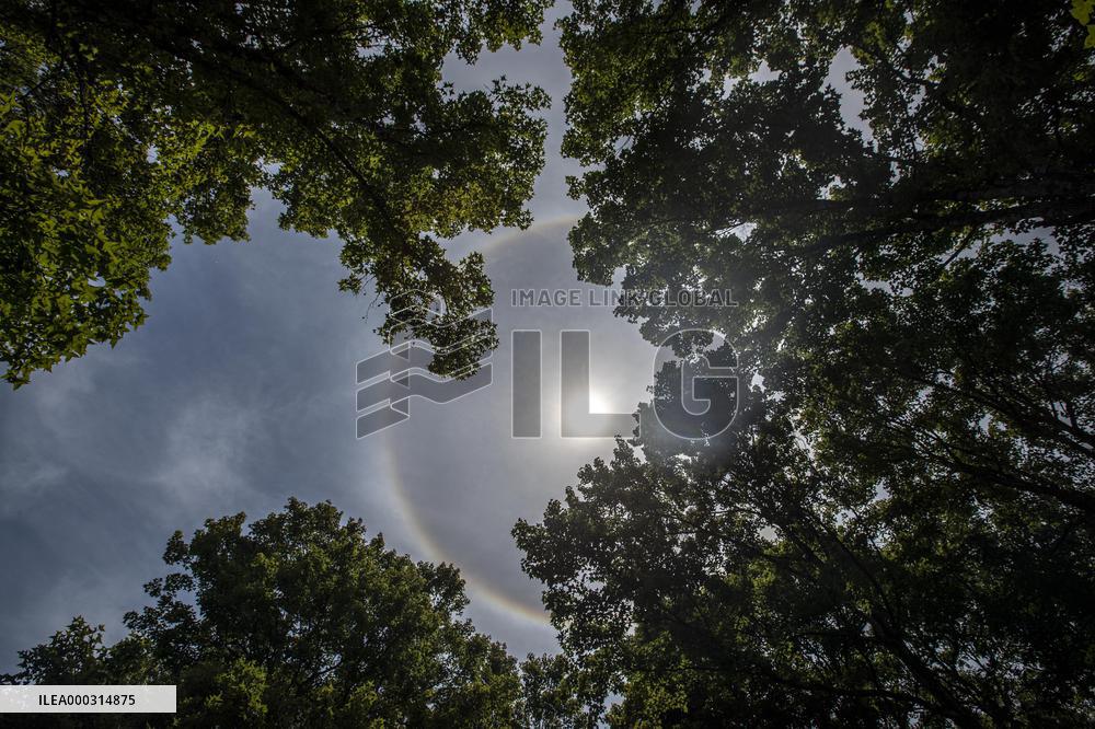 Solar Halo