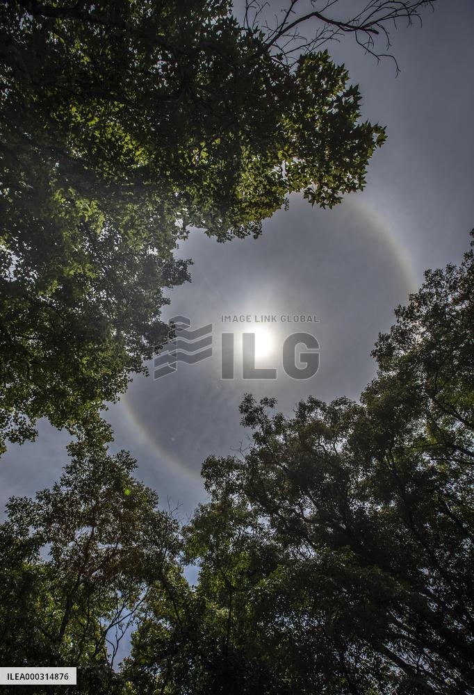 Solar Halo