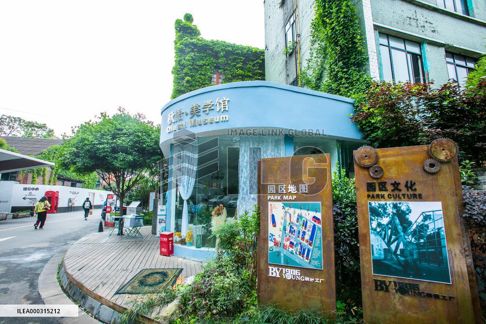 Buildings Surrounded By Green Plants in Chengdu