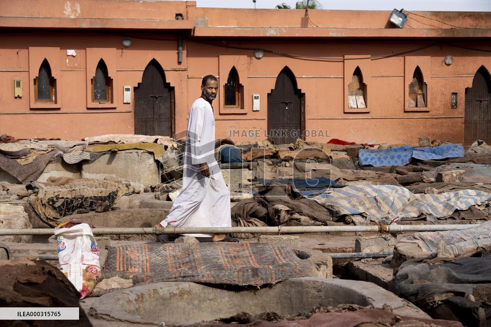 tannery, leather production