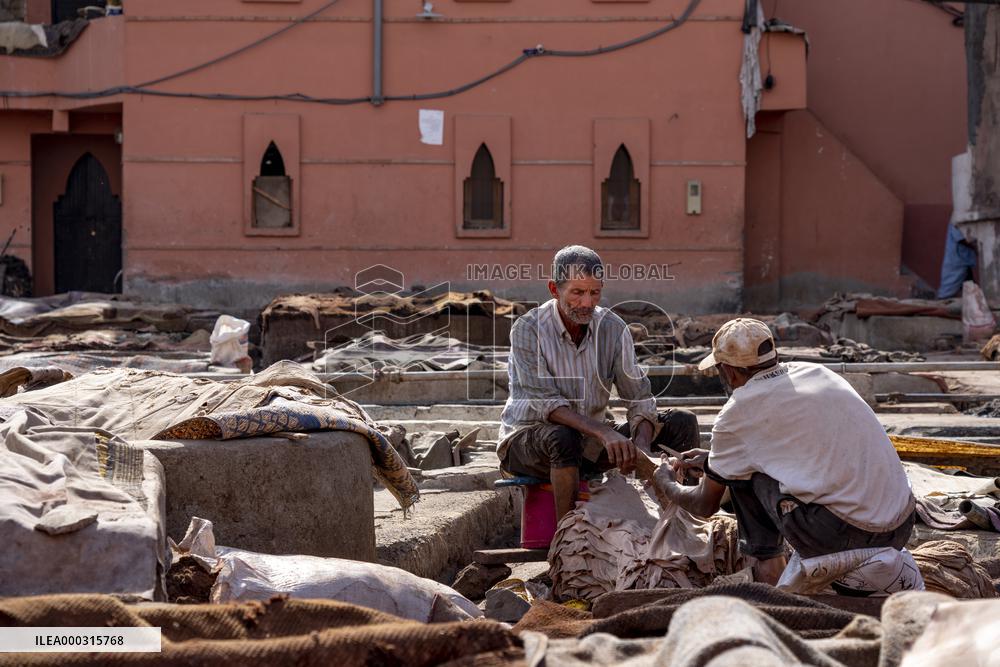 tannery, leather production