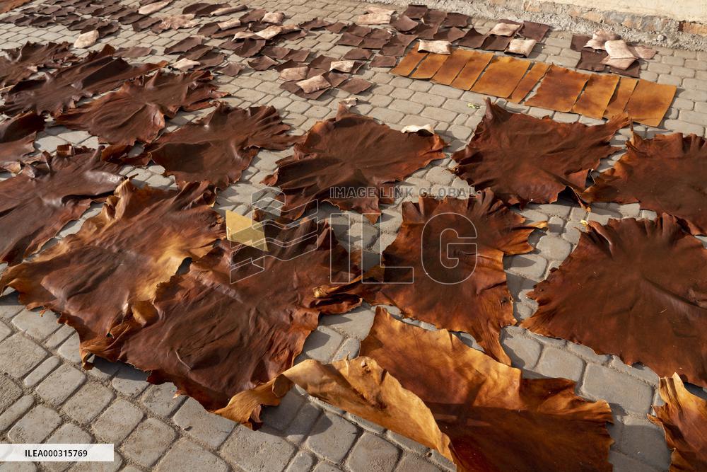 tannery, leather production