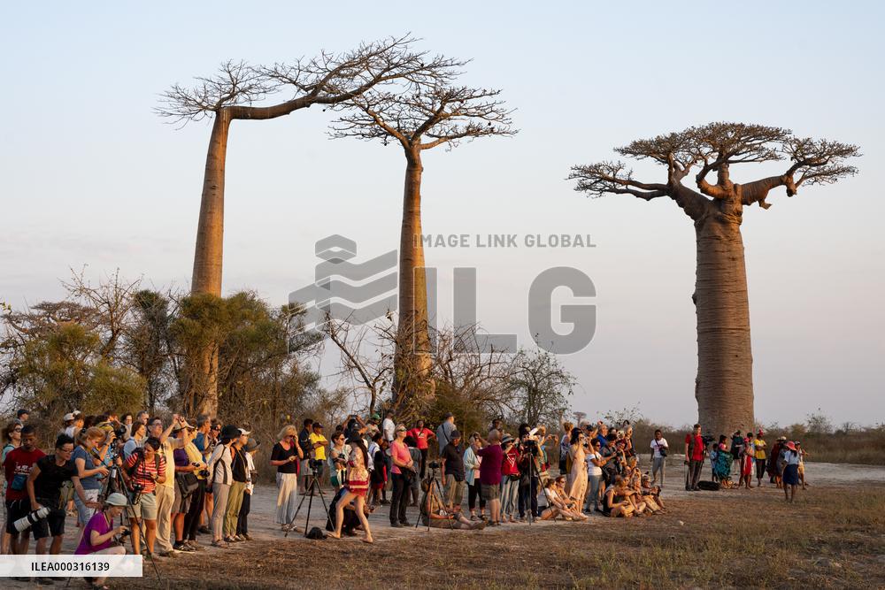 turists are waiting for sunset