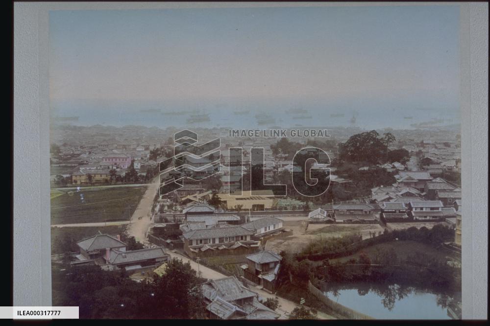 Town and harbour from hill