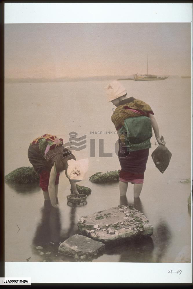 Women picking oysters