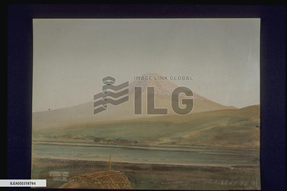 Mt. FUJI from fujinuma swamp