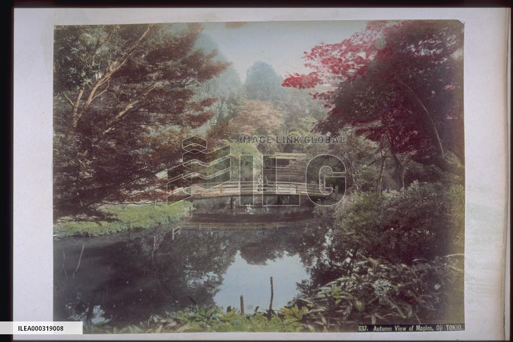 Autumn tints of Takinogawa, Oji