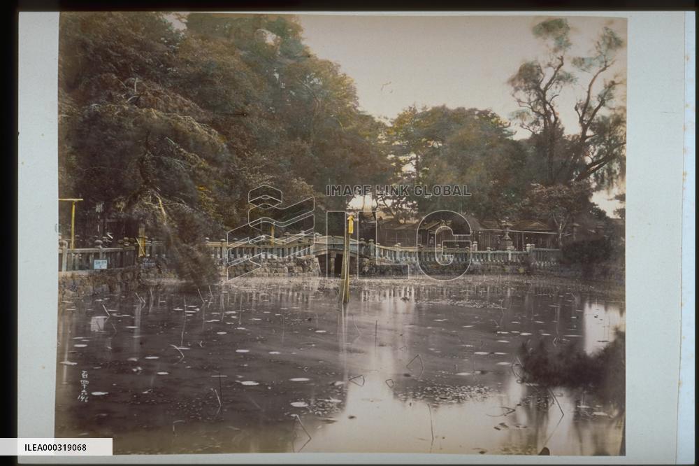 Benten Pond,Zojoji Temple,Shiba