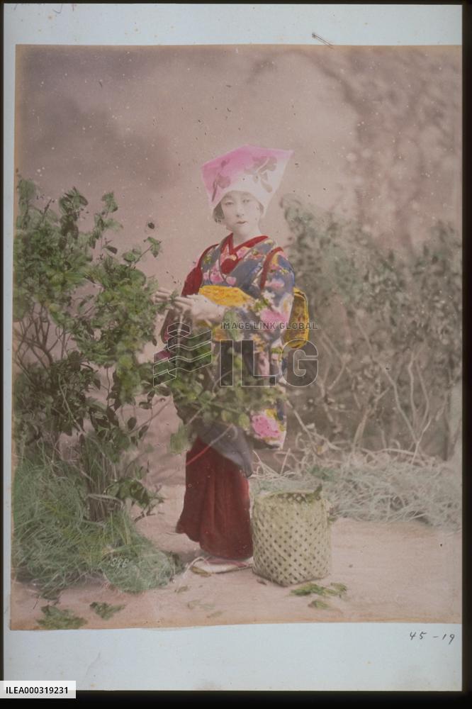 Woman collecting wild vegetables