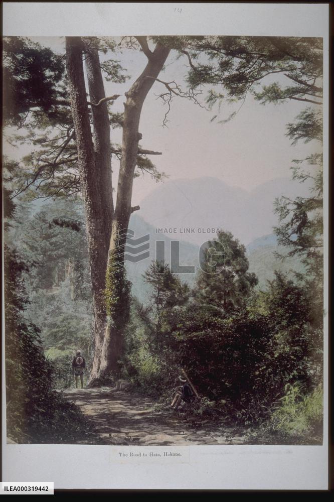Near Hatayado,on the old Hakone Road