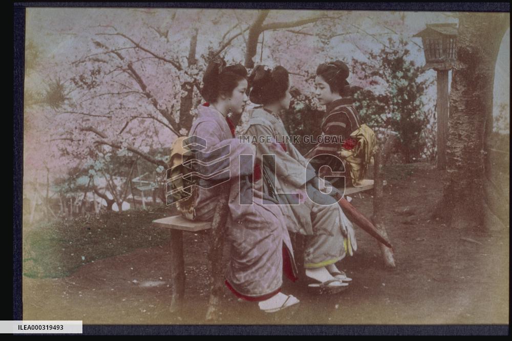 Women viewing cherry blossoms