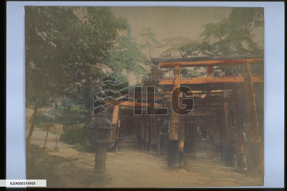 Torii gates at Fushimi Shrine