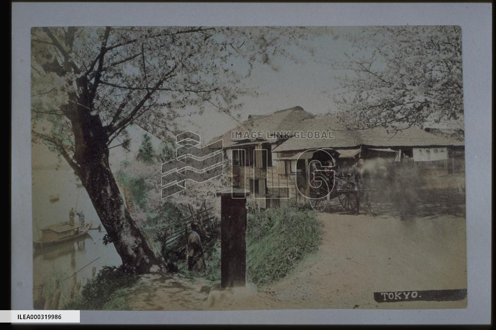 The ferries,Mukojima