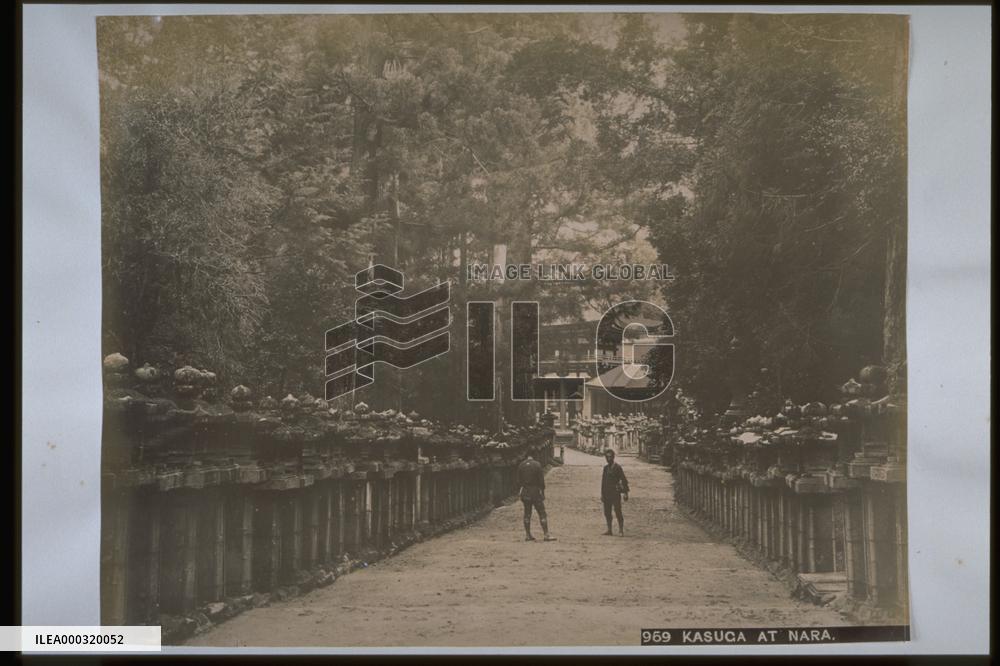 The precincts of Kasuga Shrine