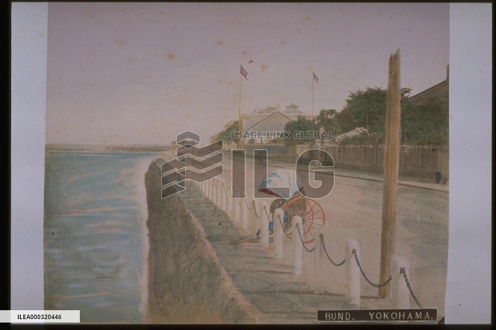 Kaigan-dori Avenue,Yokohama