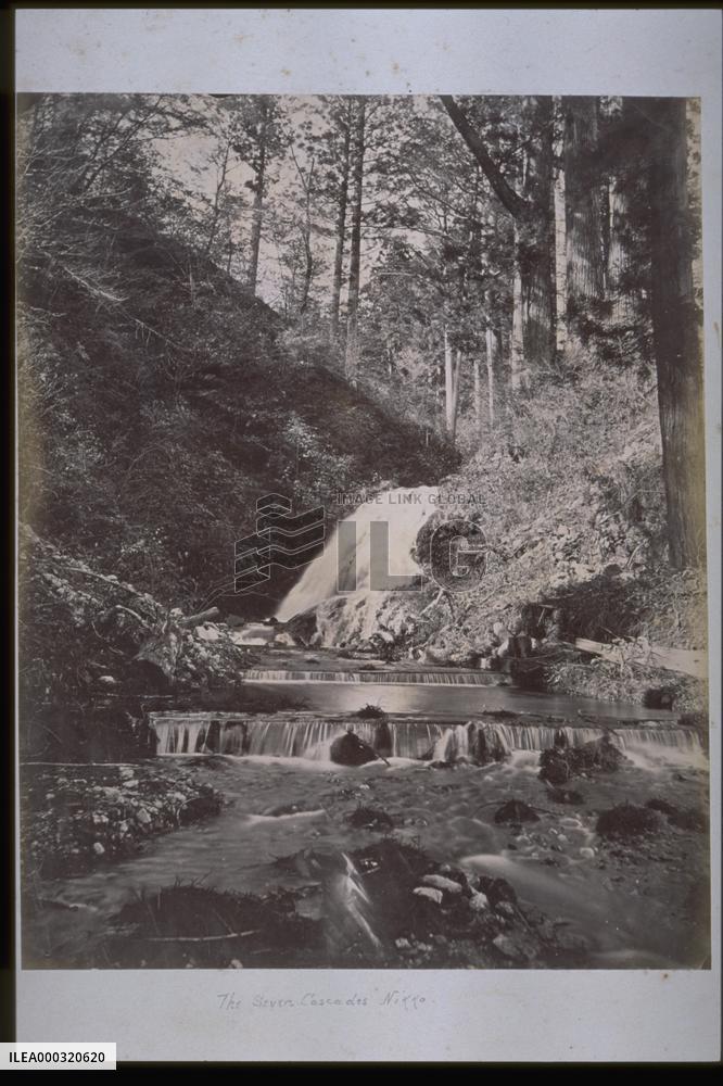 Seven ceders of Nikko