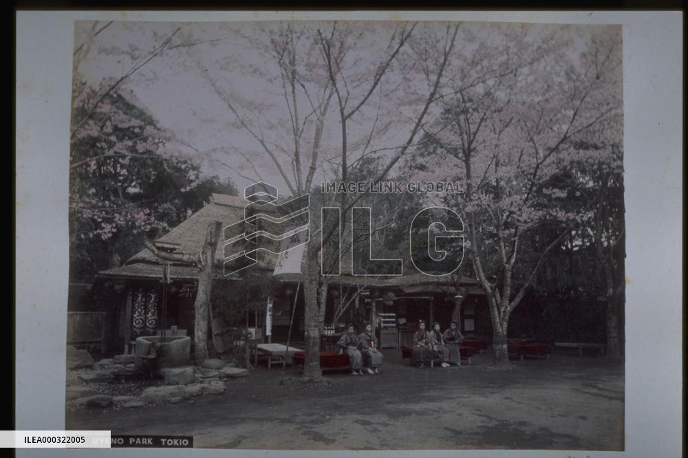 Teahouses at Ueno Park