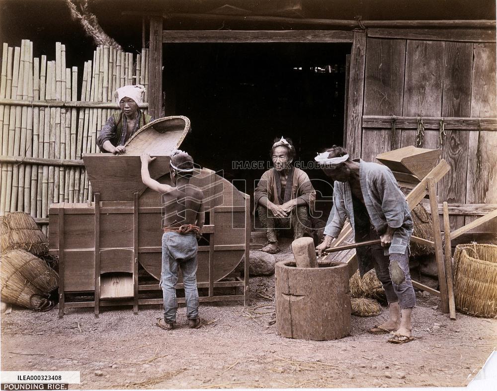 A scene of threshing