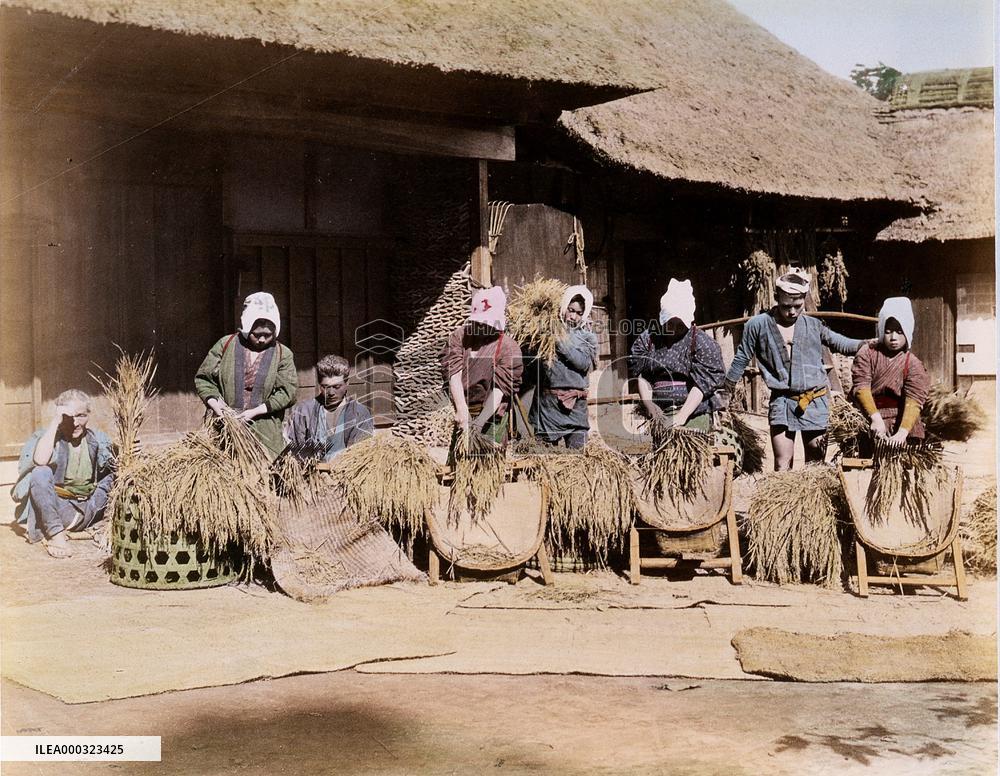A scene of threshing