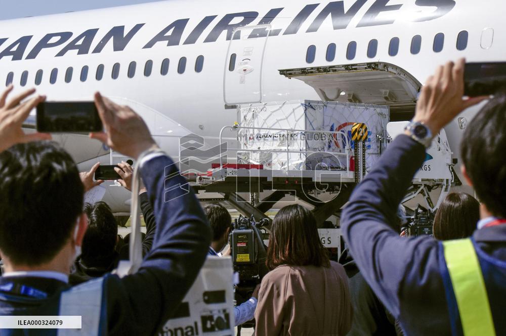 Japan gov't panel approves Moderna, AstraZeneca COVID-19 vaccines