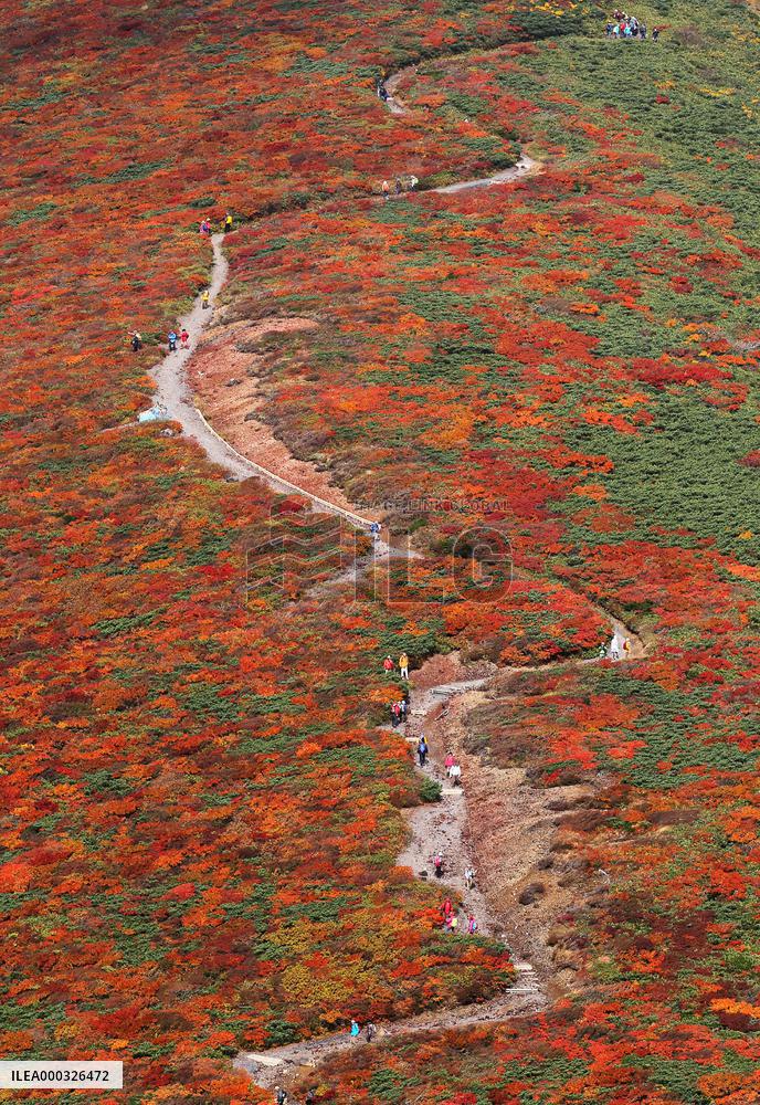 Mt. Kurikoma in autumn colors