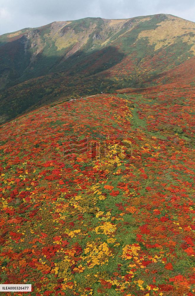 Mt. Kurikoma in autumn colors