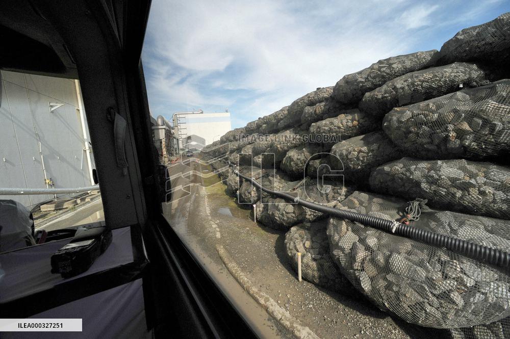 Temporary coastal levee at Fukushima Daiichi power plant