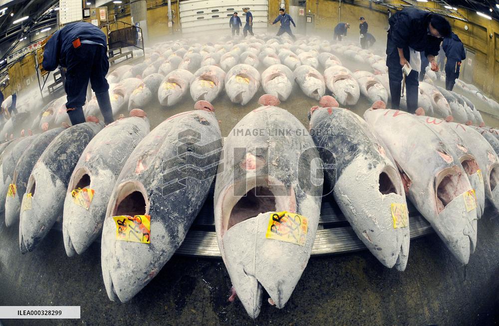 Bluefin tuna quota to be cut