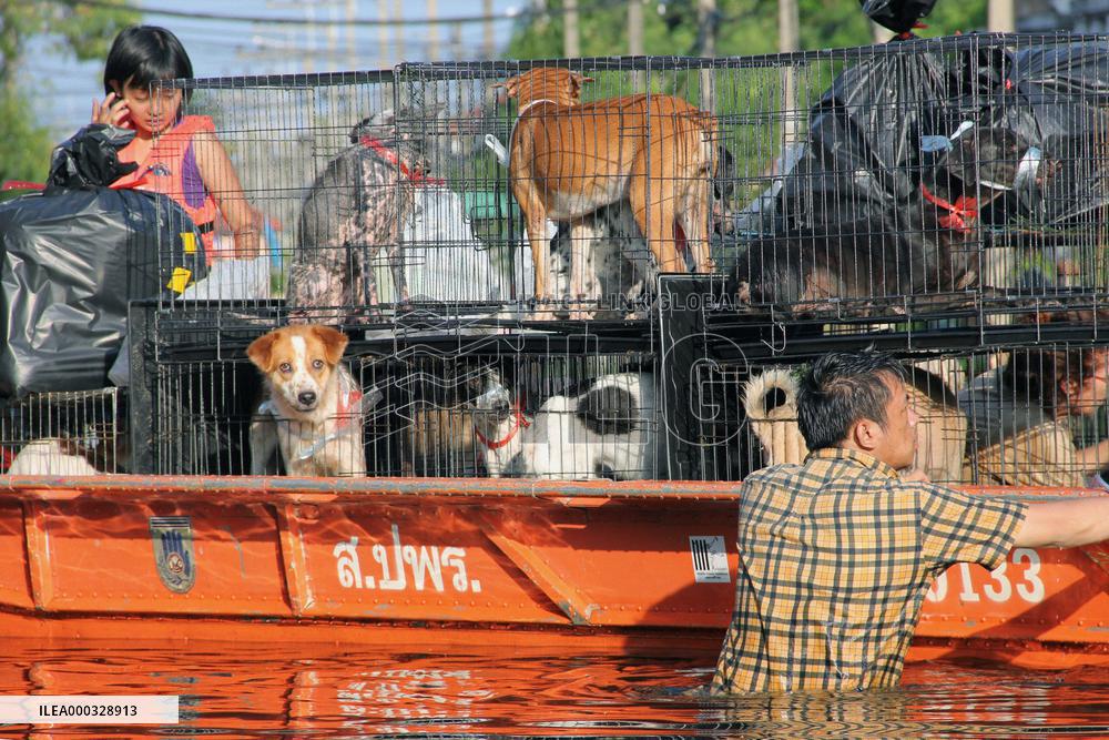 Flooding in Thailand