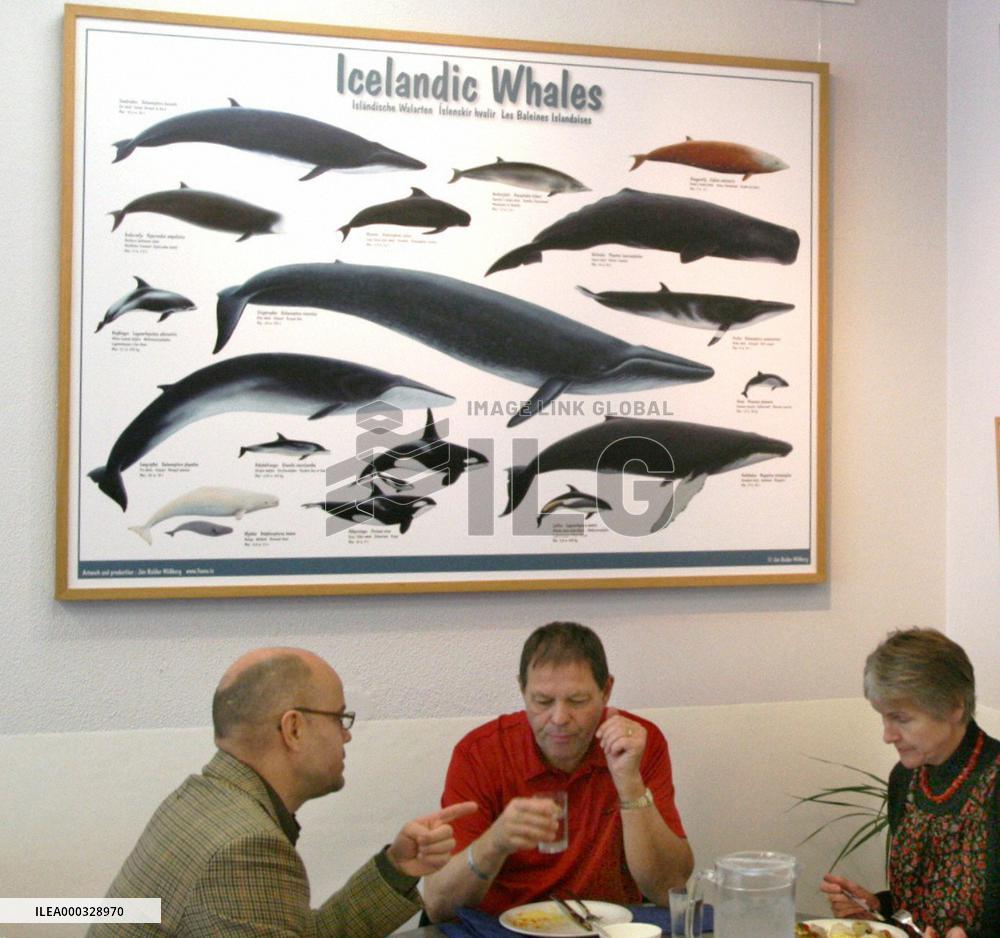 Icelandic firm sells whale meat to Japan