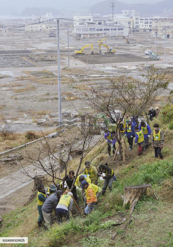 Cherry tree-planting project to remember tsunami