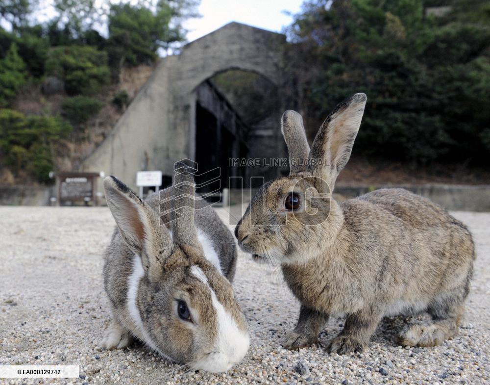 Site of wartime chemical weapon plants now rabbit island