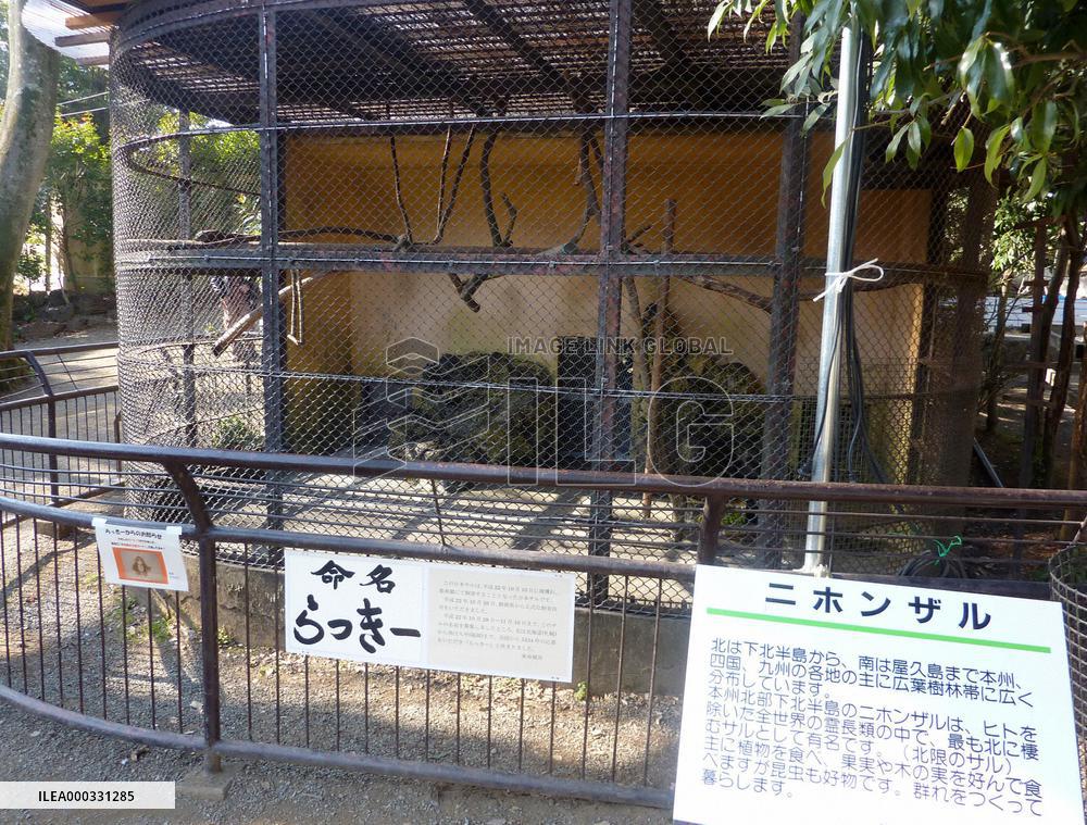 Violent monkey escapes