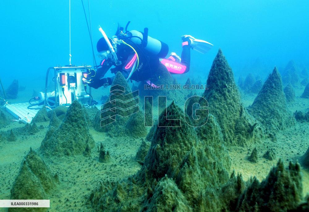 Benthic moss pillars in Antarctic lake