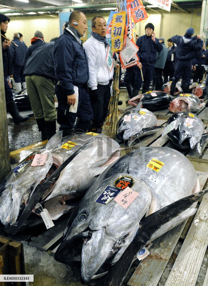 Tuna sold for 16.3 million yen at 1st auction in Tokyo fish