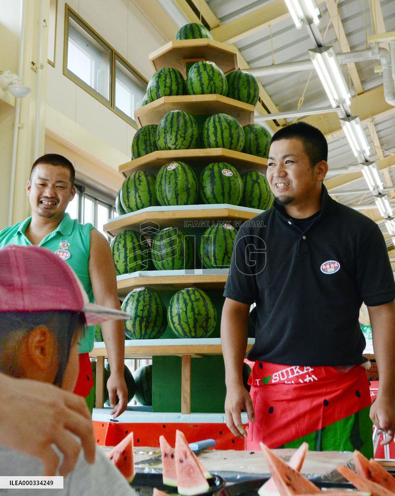 'Watermelon Tree' in Tottori